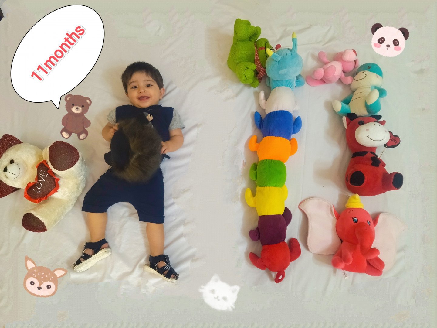 یازده ماهگی نوزاد حامی یادگاری