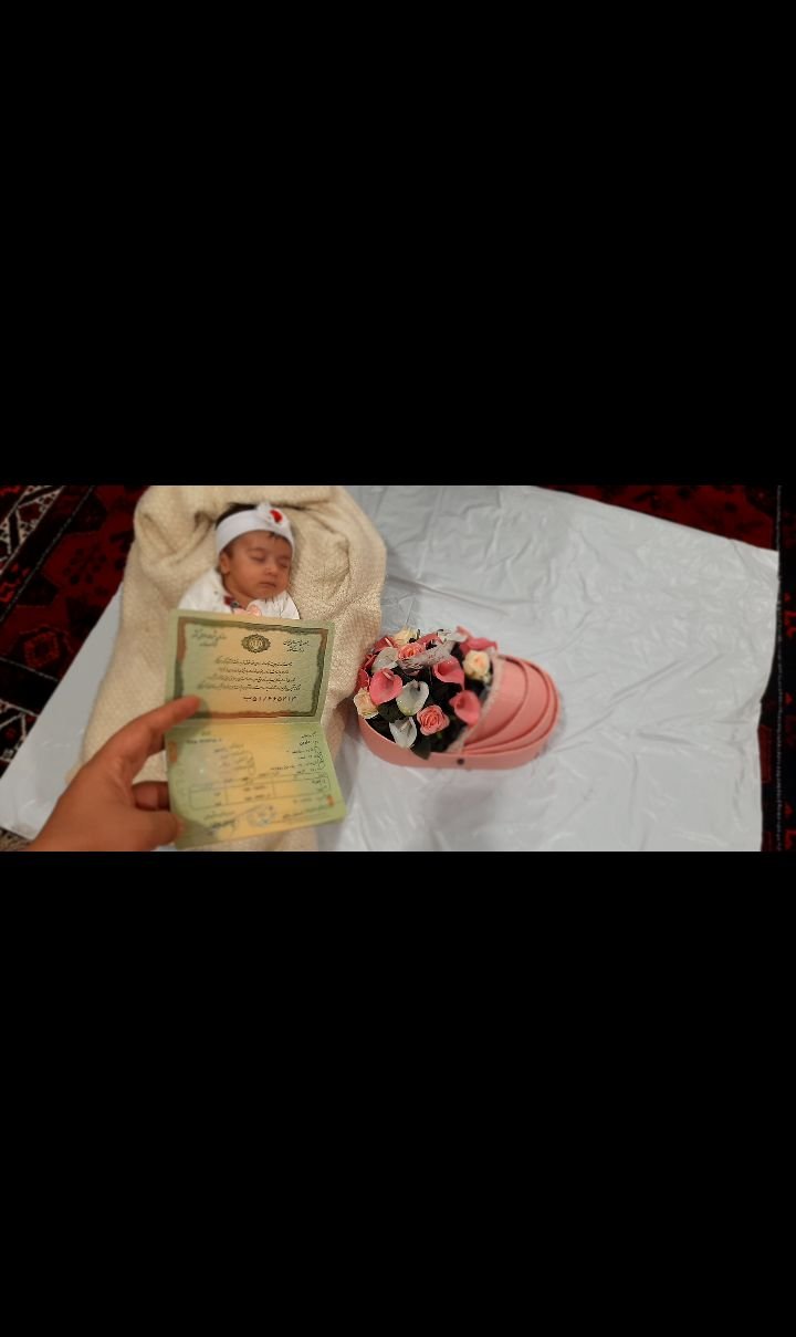 عکاسی با میوه دلوین رادمهر