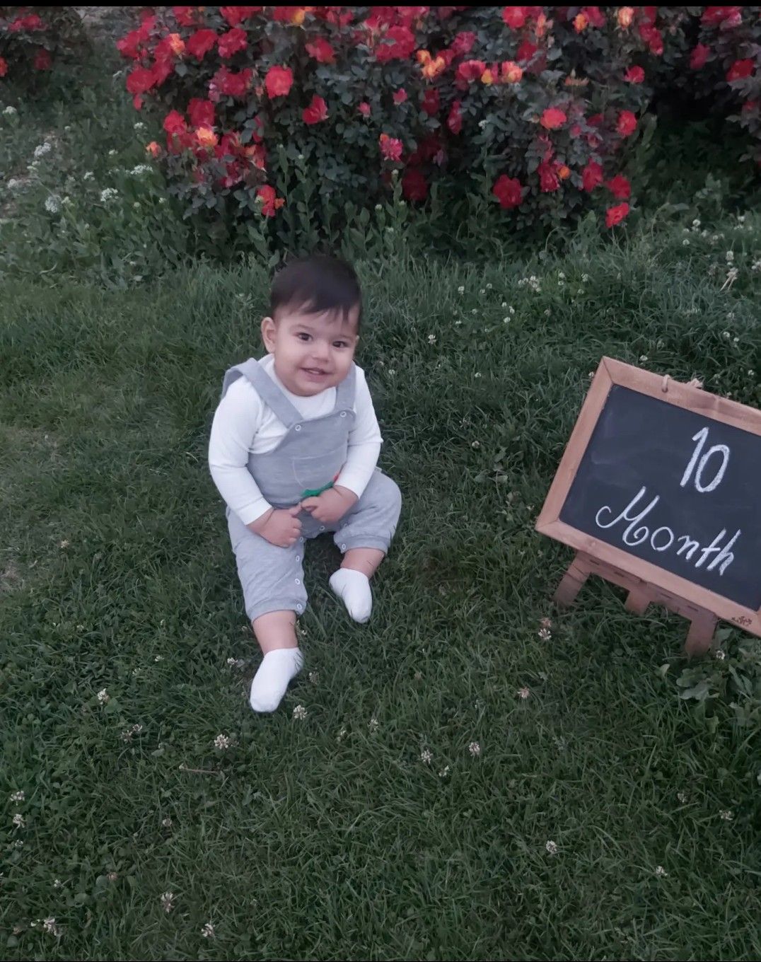 ده-ماهگی محمدحسام شهیدی