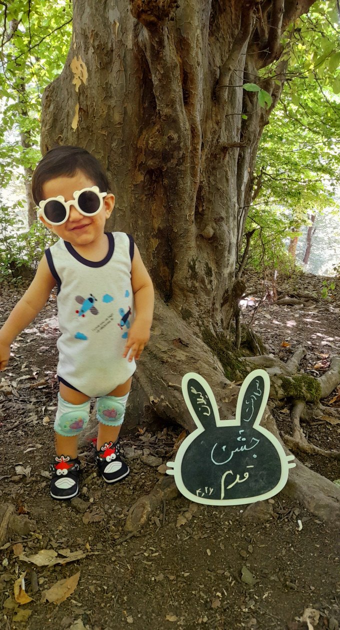 تخته سیاه خرگوشی رادمهر مدنی