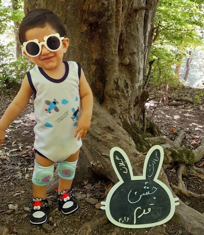 تخته-سیاه-خرگوشی-57735