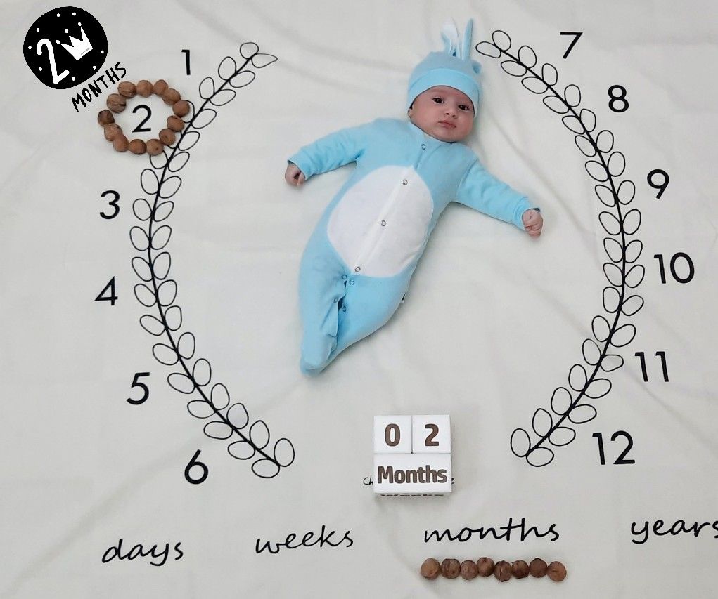 نویان نویان حبیب زاده