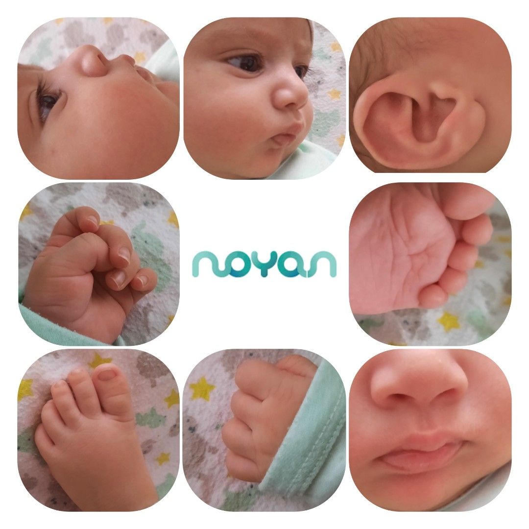 تخته-سیاه-فانتزی نویان حبیب زاده