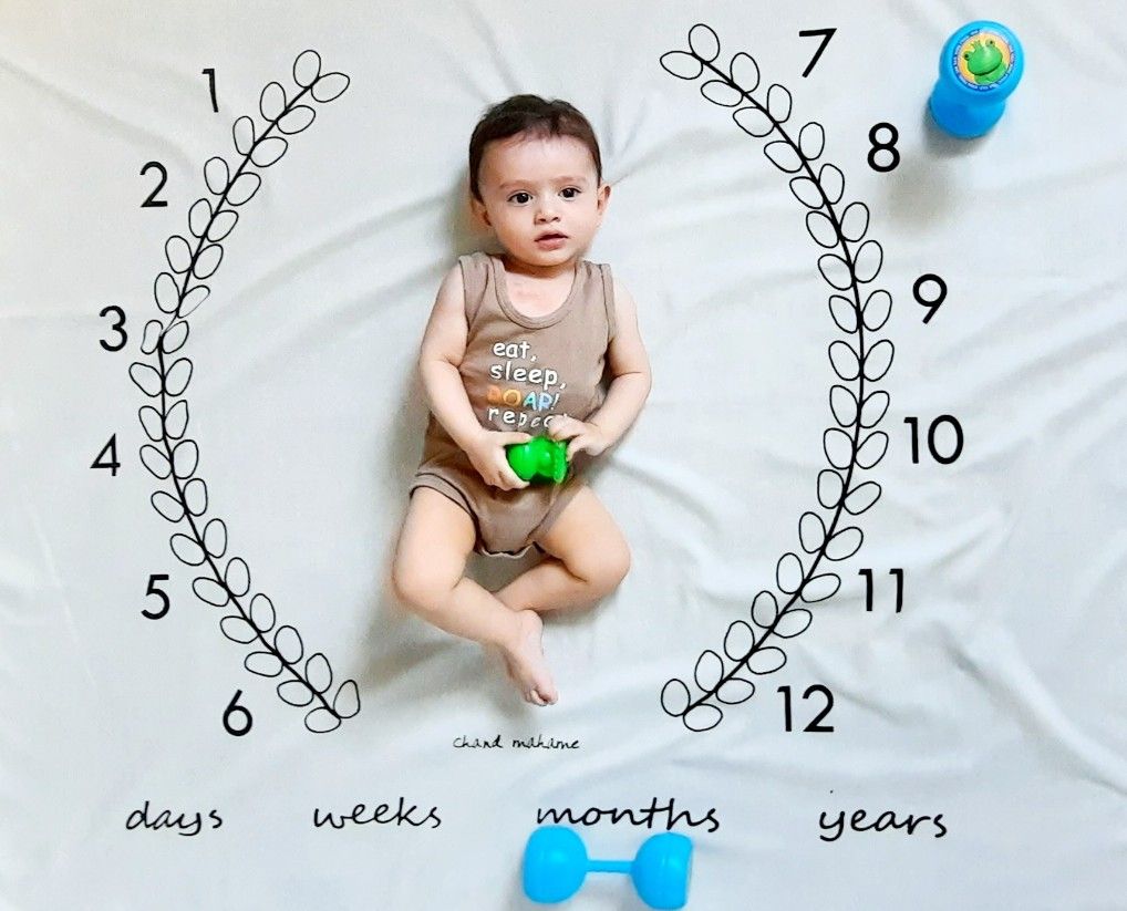 نویان نویان حبیب زاده