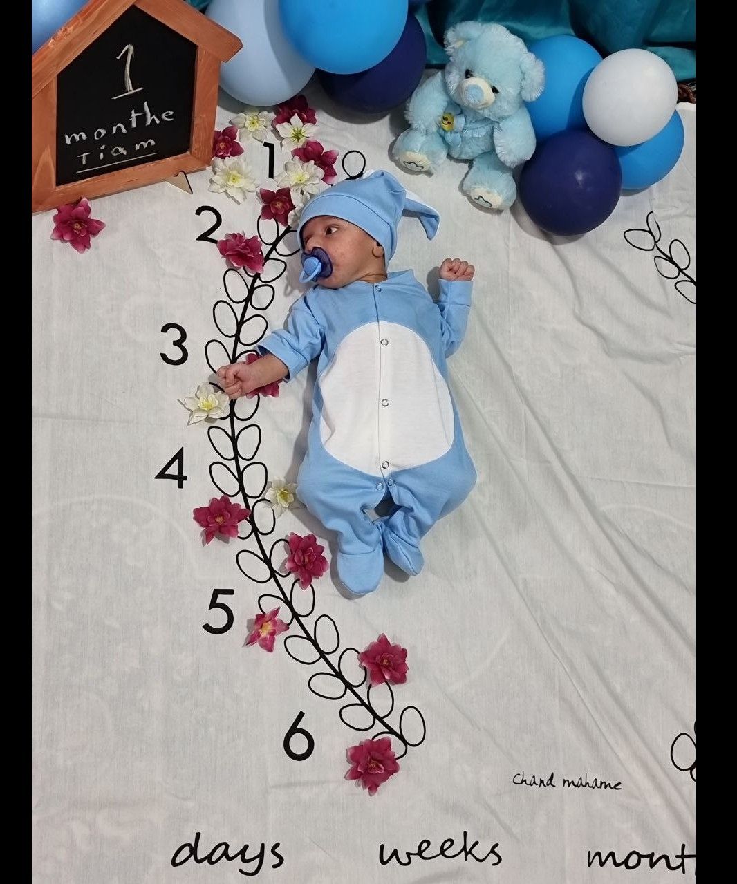 پارچه-ماهگرد تیام