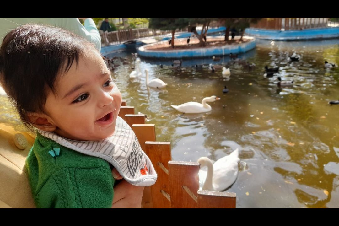 یک-عدد-نفس ماهان دریس