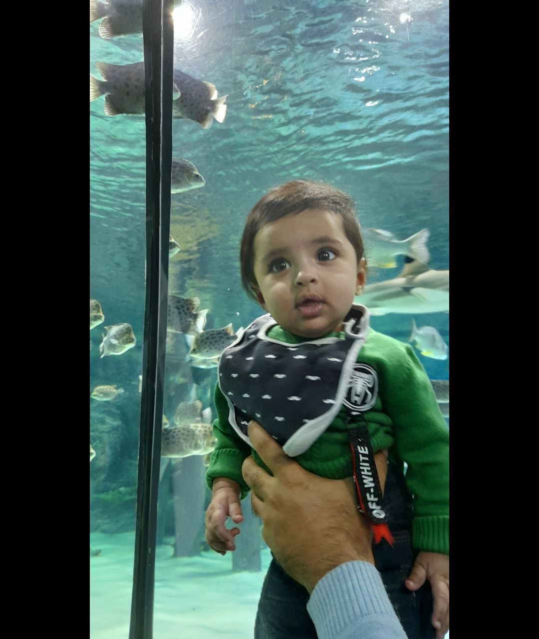 یک-عدد-نفس ماهان دریس