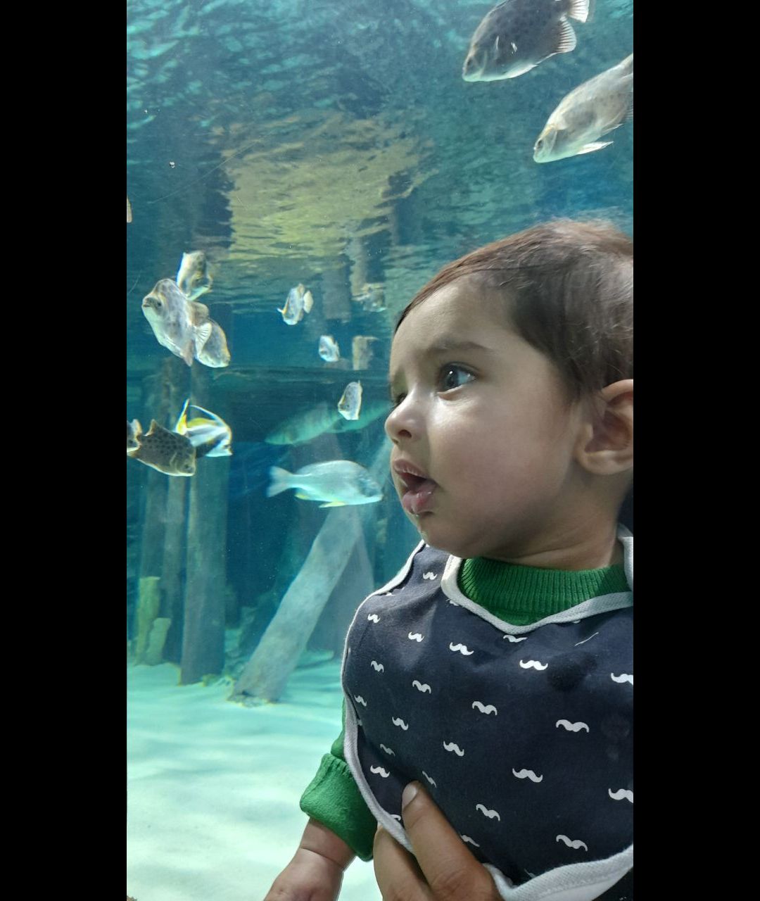 عشق-مامان-و-بابا ماهان دریس