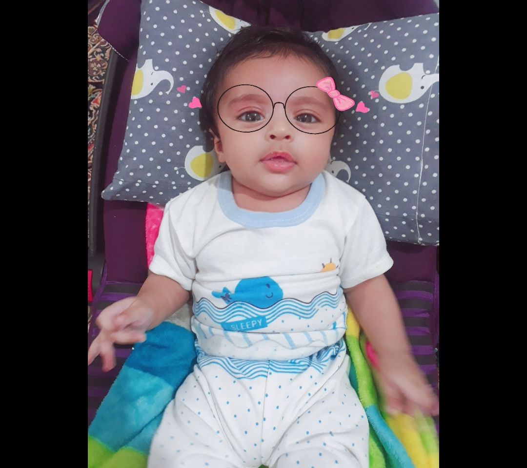 جوجه-فینگیلی ماهان دریس