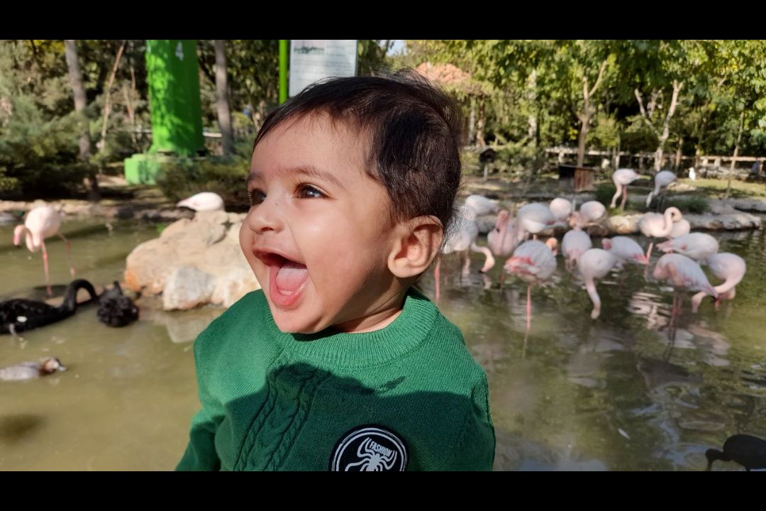 اولین-مسافرت ماهان دریس