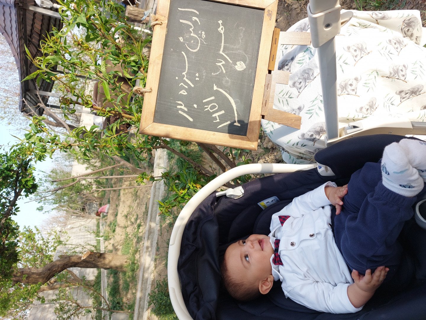 پنج ماهگی نوزاد مهربد  افشاری