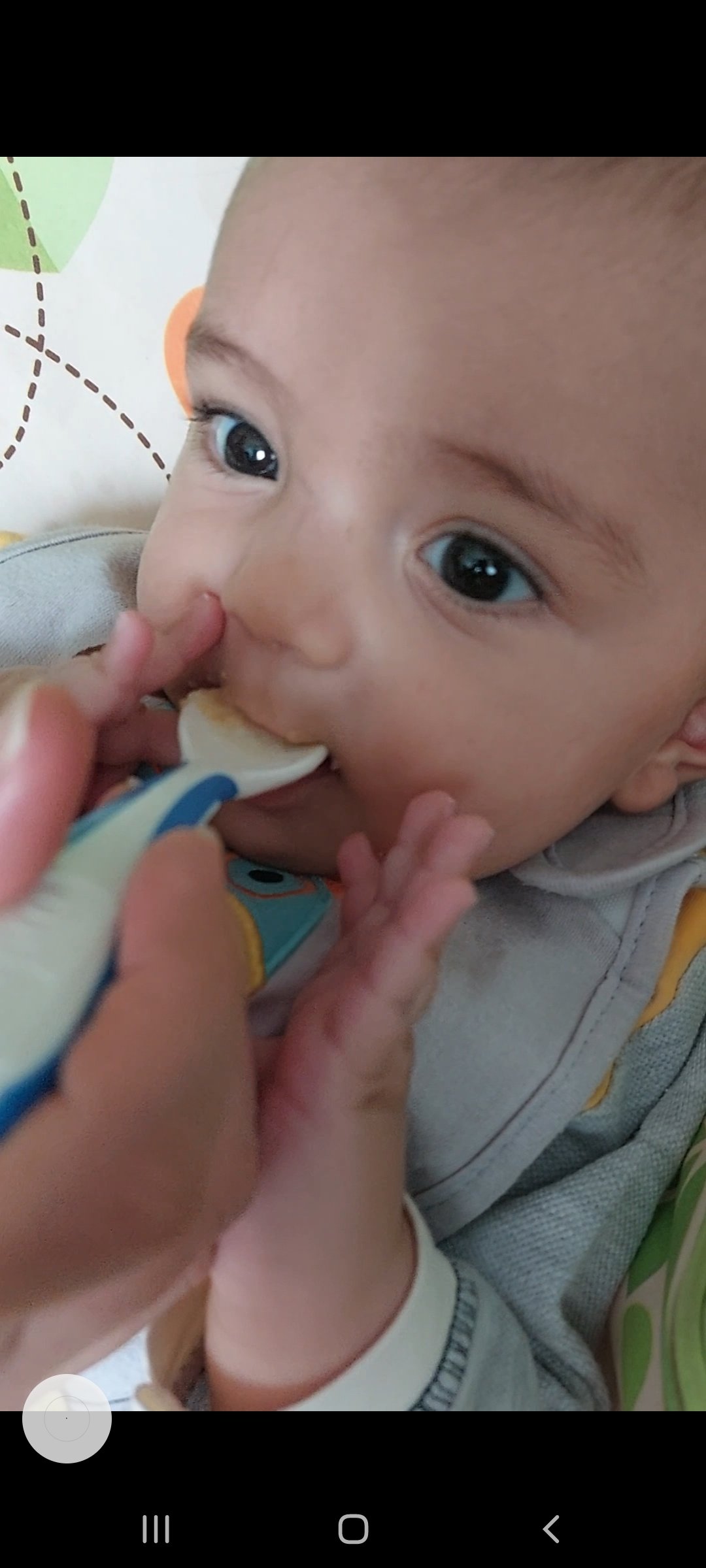 پنج ماهگی نوزاد مهربد  افشاری