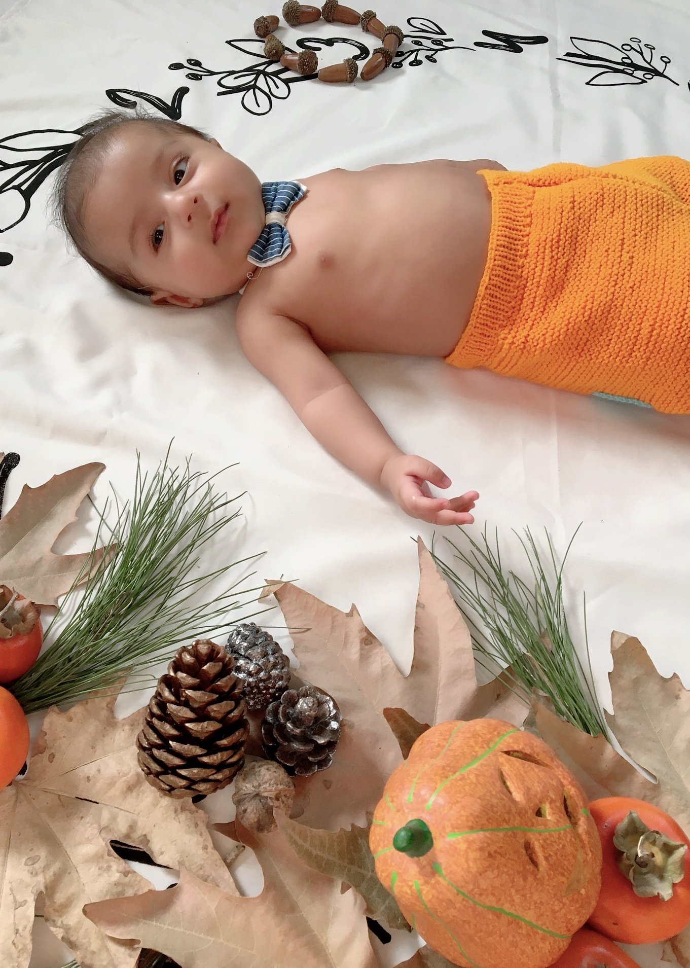 جشن هالووین کودک كايا يزدي زاده