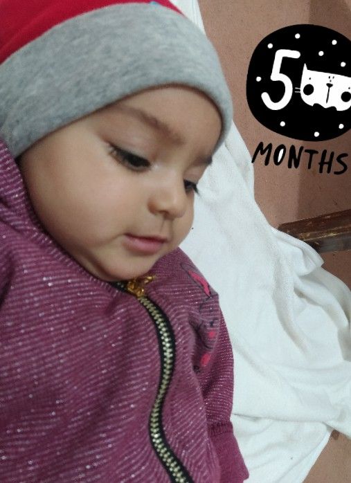 غذلی-کمکی الین کریمی نژاد