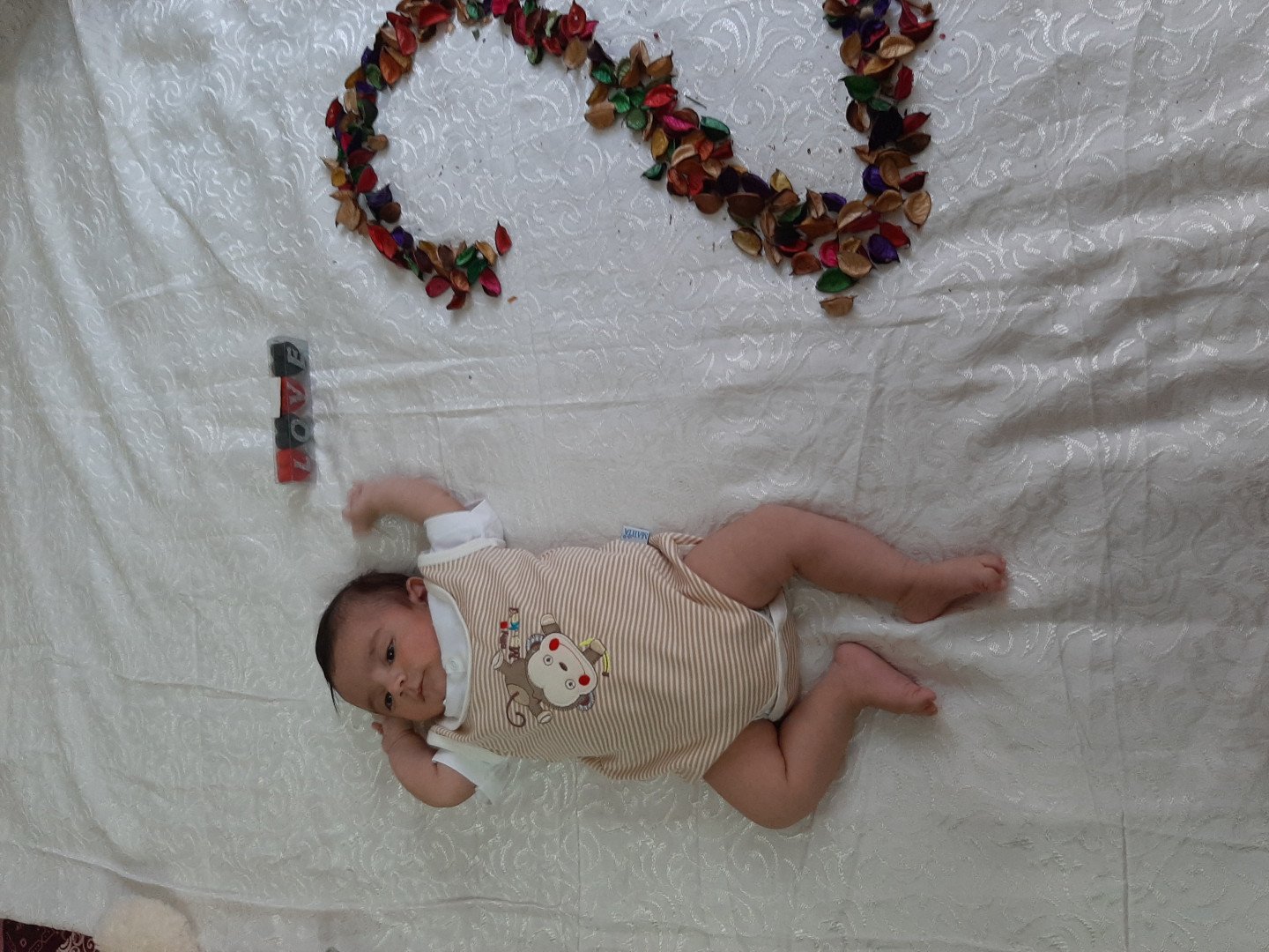 دو ماهگی نوزاد اروین سفری