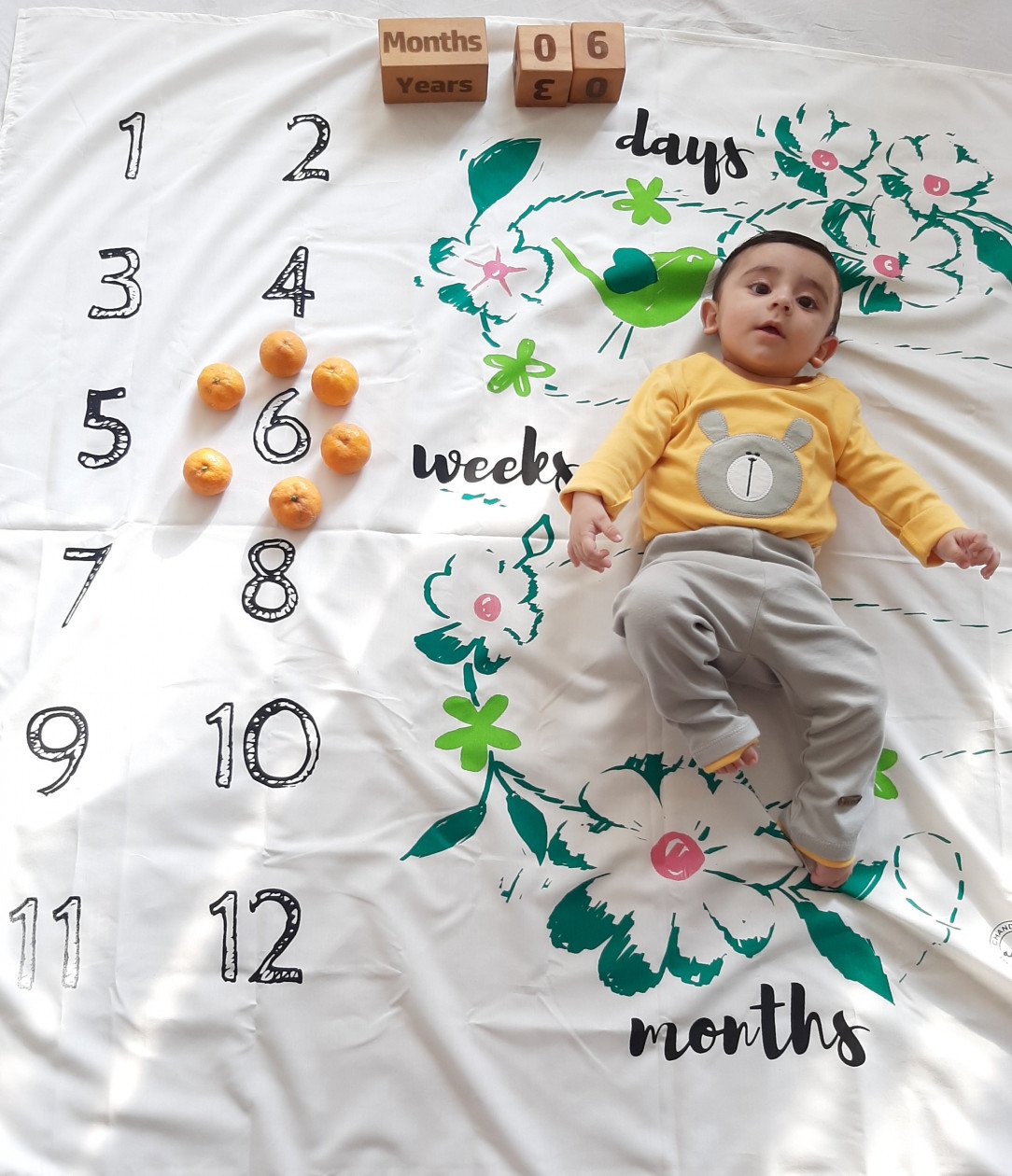 جشن دندونی نوزاد اروین سفری