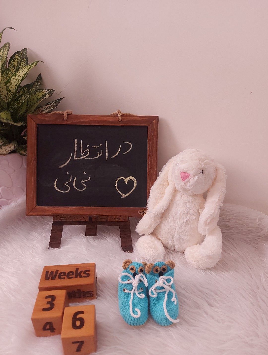 بارداری shahan