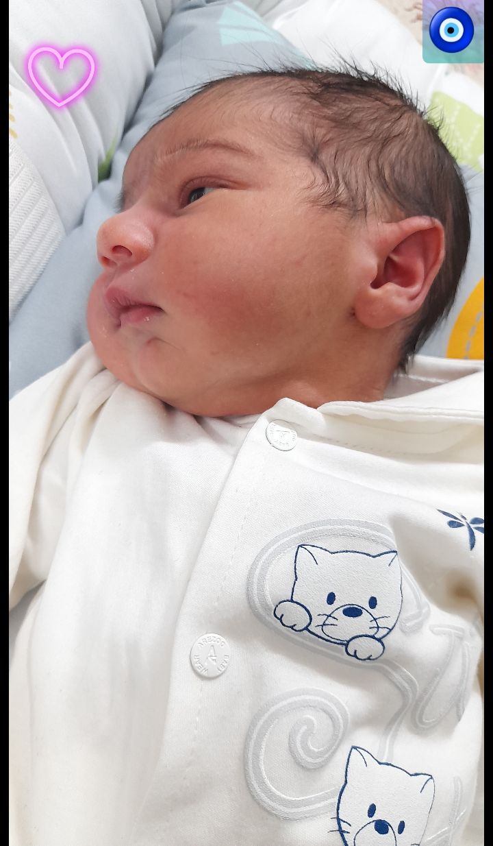 بهمن کمیل غفاری