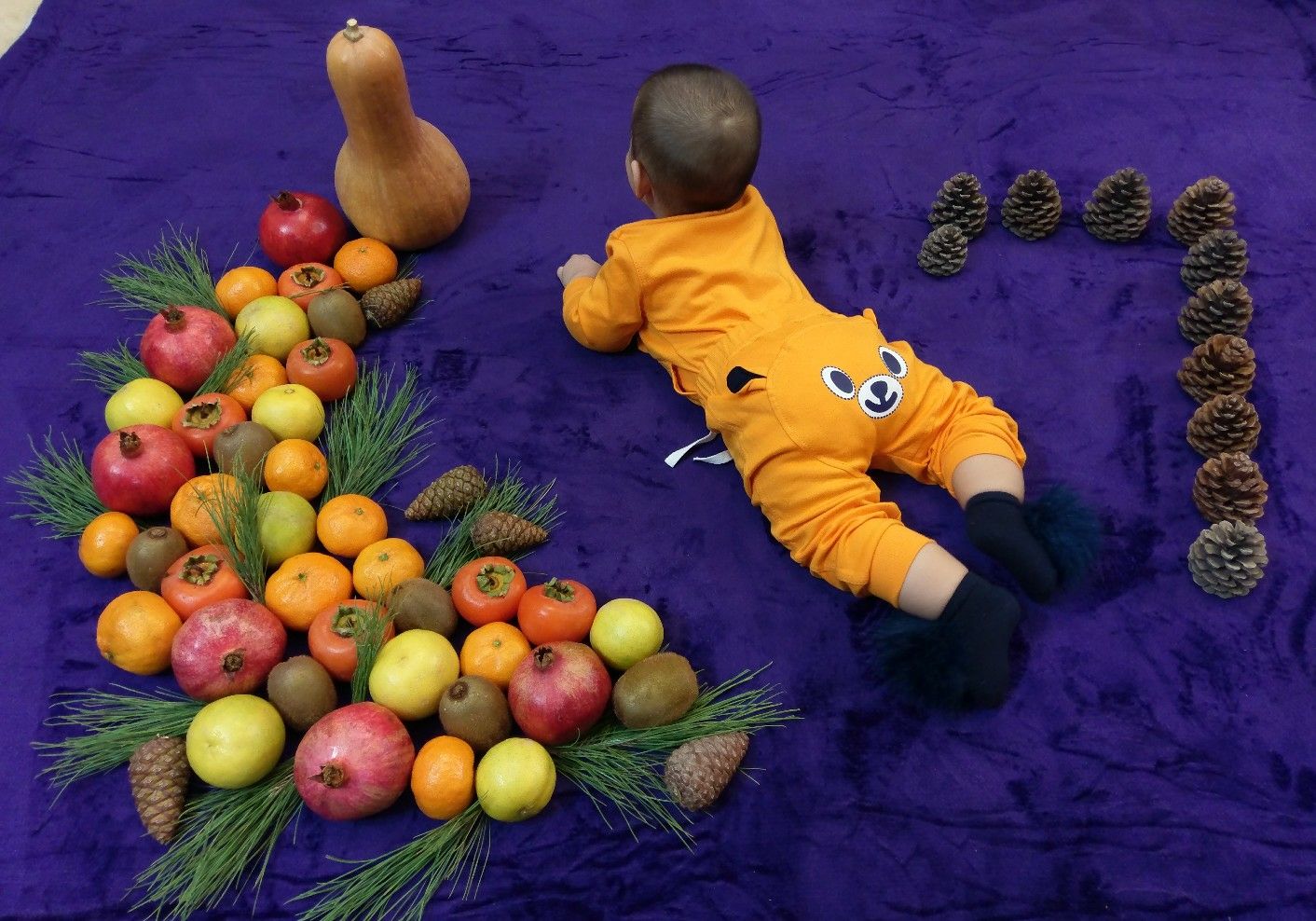 هفت ماهگی نوزاد آوا و آراد