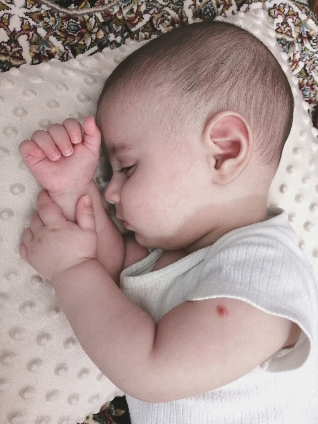 خواب کیارش پیرحیاتی