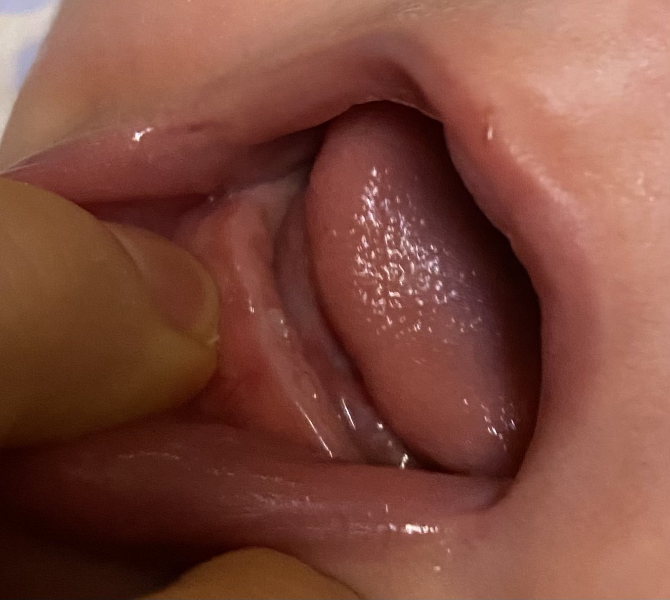 هشت ماهگی نوزاد دانیال کیانی