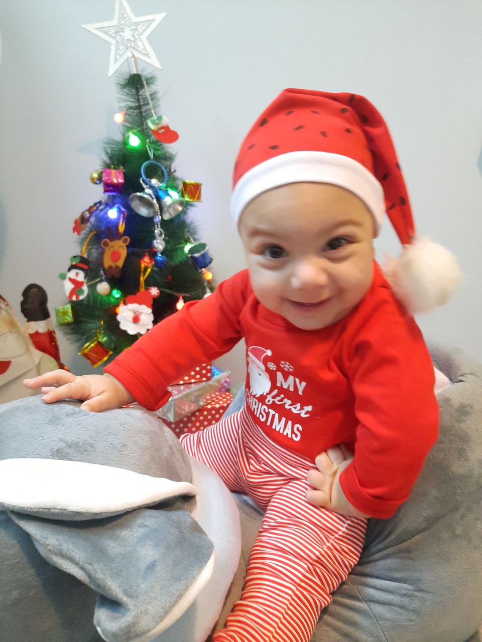 غذا شاهان سنگانی