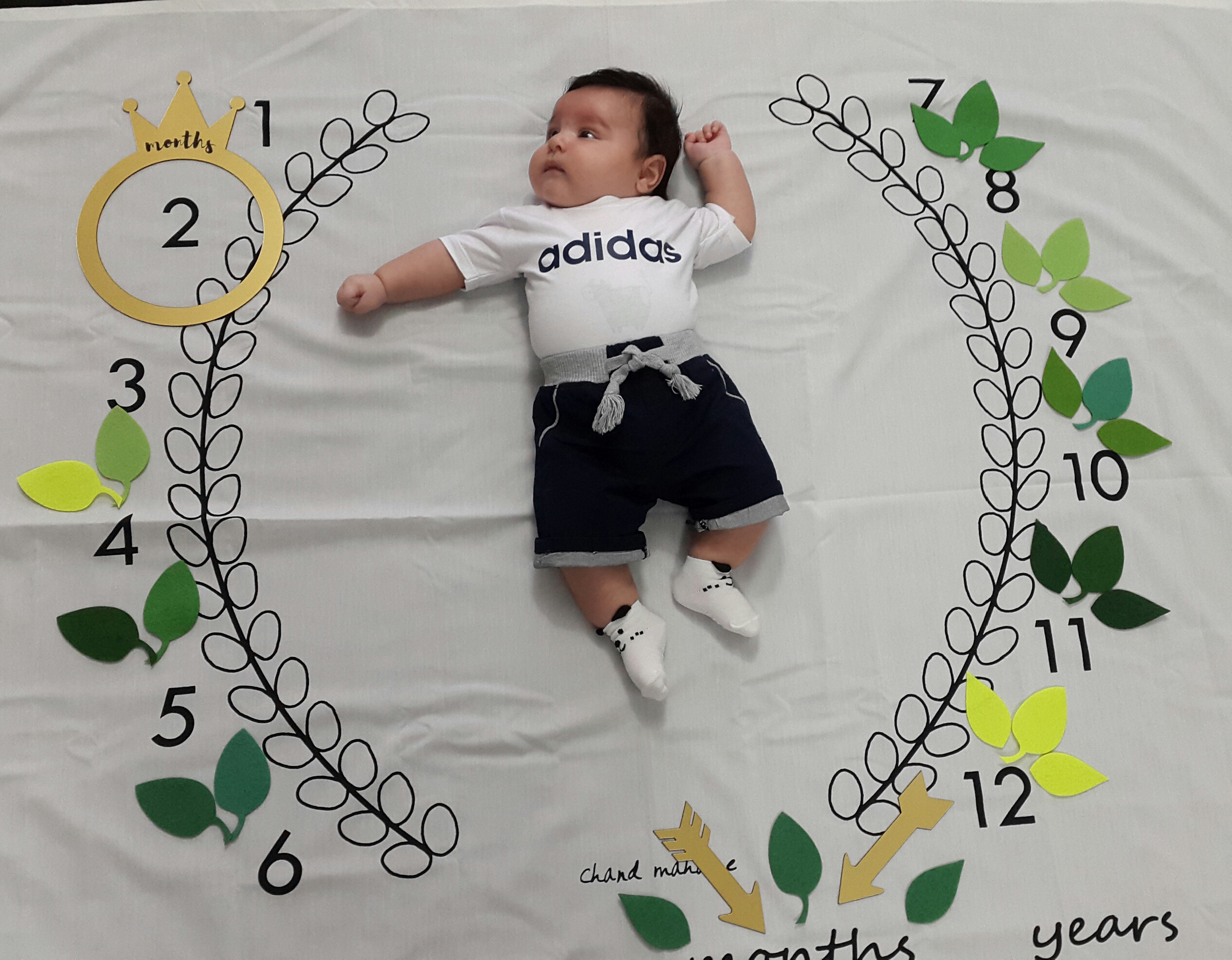 تم عکس تابستانی کودک آرسام حسن زاده