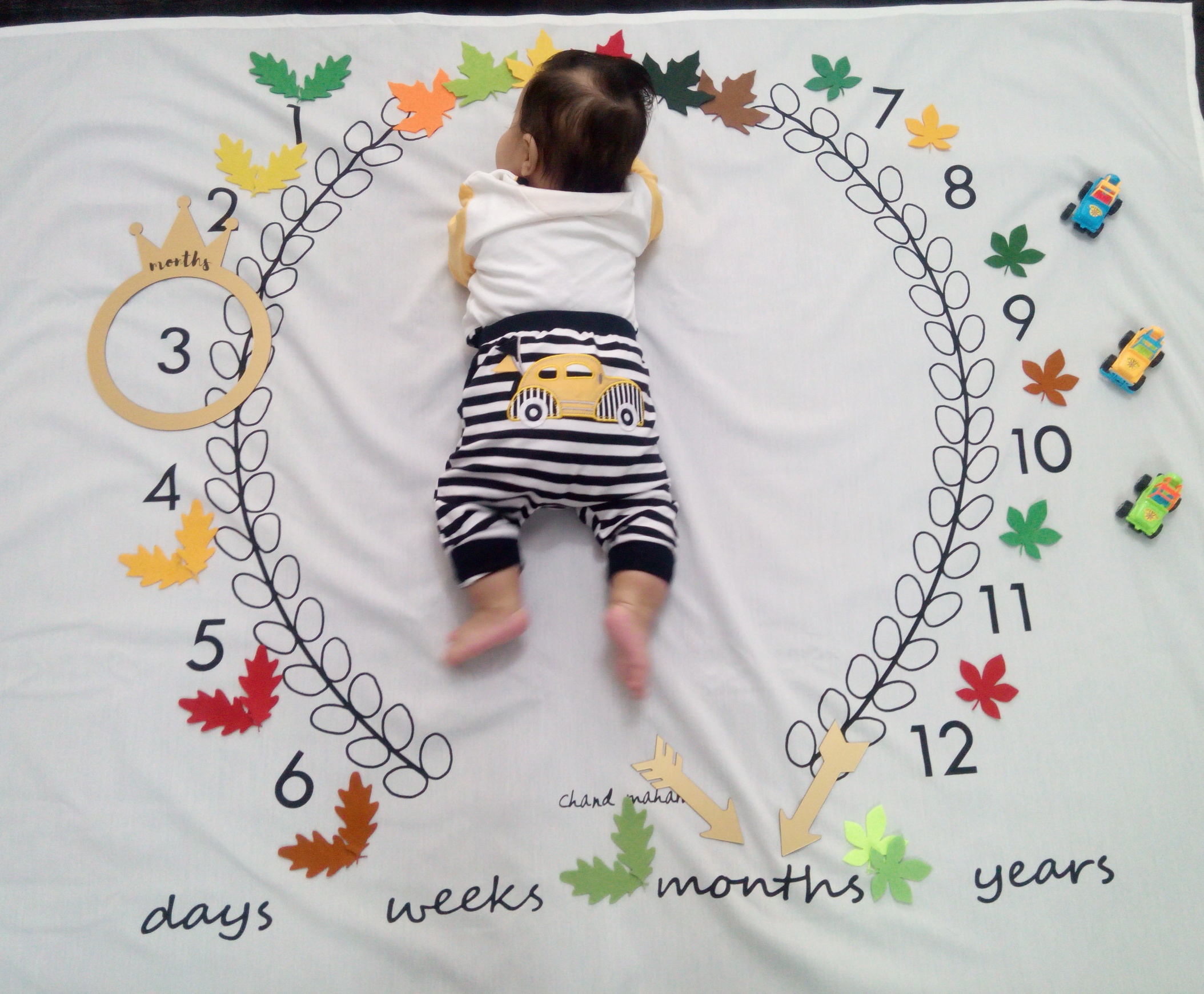 تم عکس پاییزی نوزاد آرسام حسن زاده