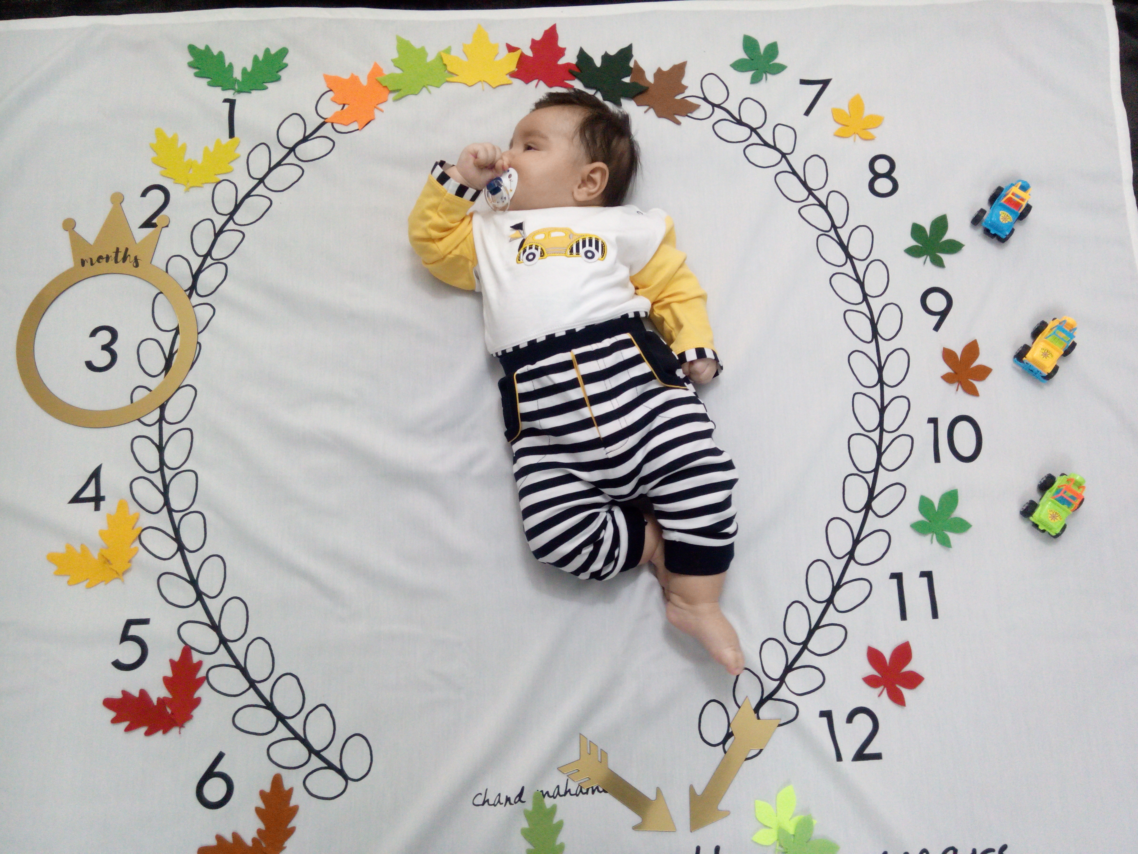 نشانگر ماهگرد تاج طلایی آرسام حسن زاده