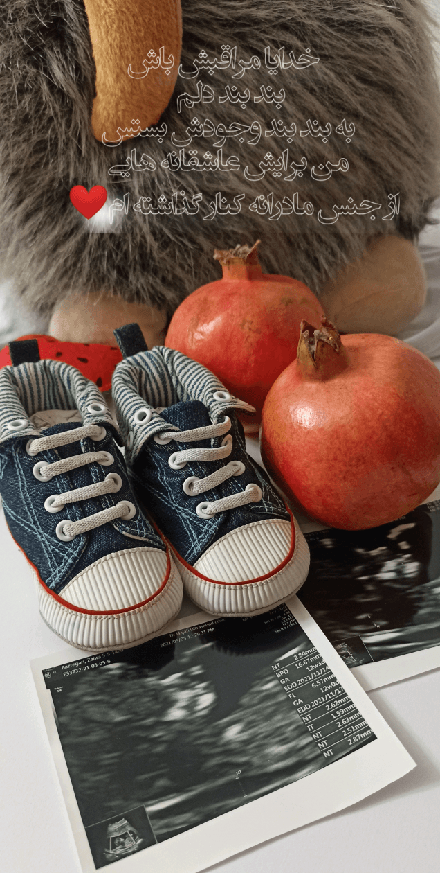 بارداری میران بذرگری