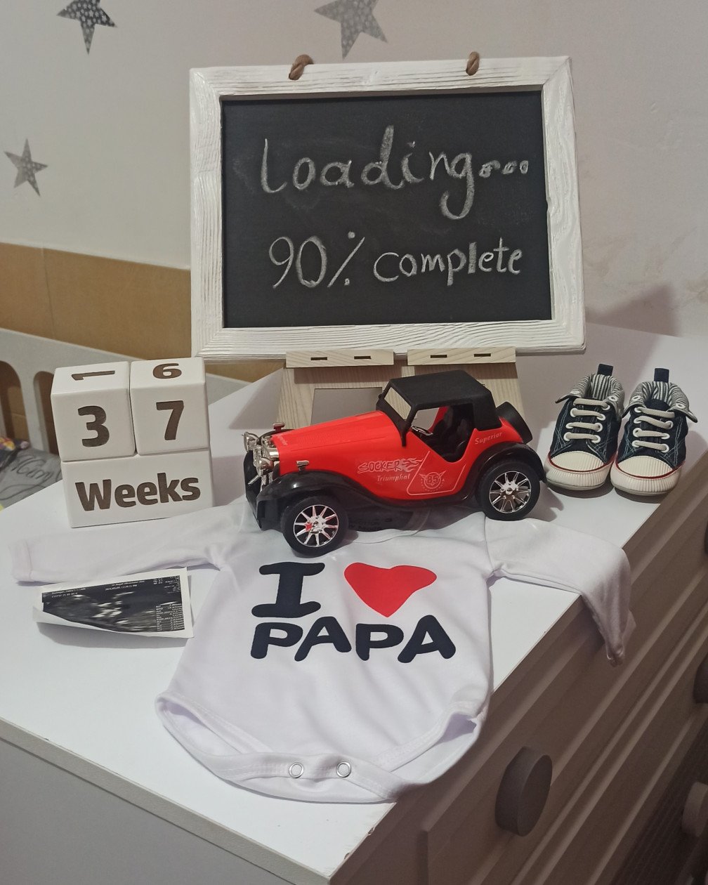 بارداری میران بذرگری