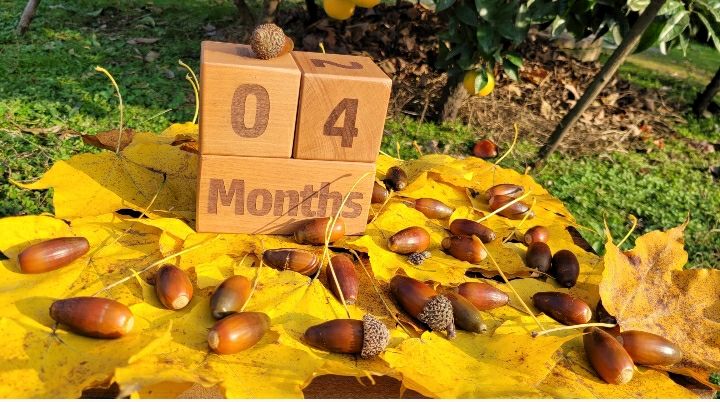 تم عکس پاییزی نوزاد محمدرسا