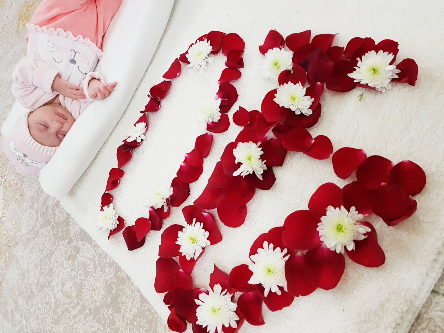 ایده هایلین حمەحسنی