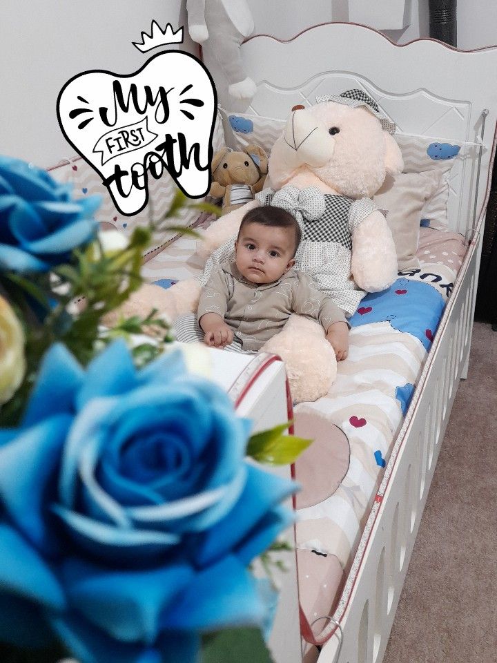 اولین-رویش-مروارید سامیار