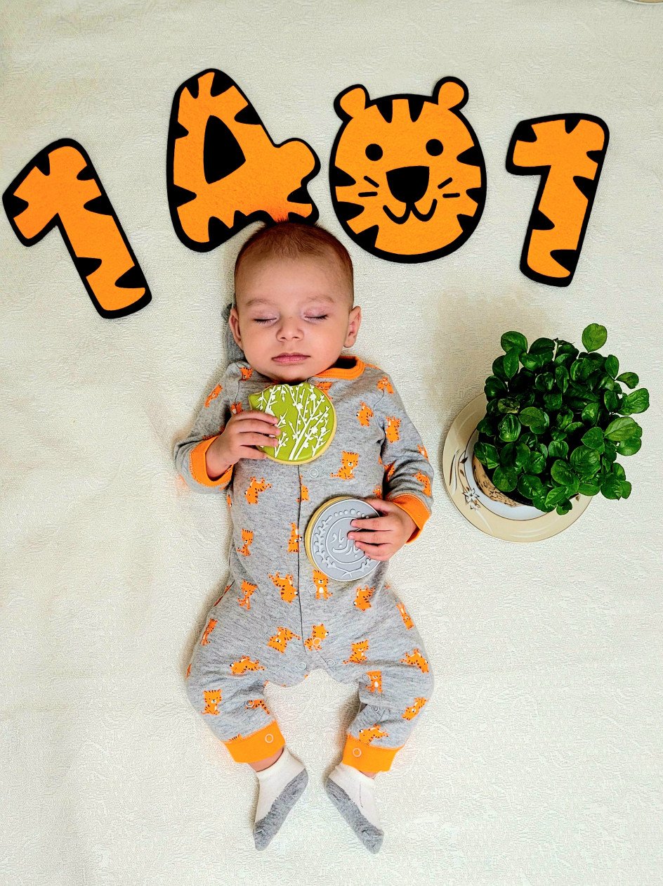 تم عدد سال ببر 1401 پندار مینایی