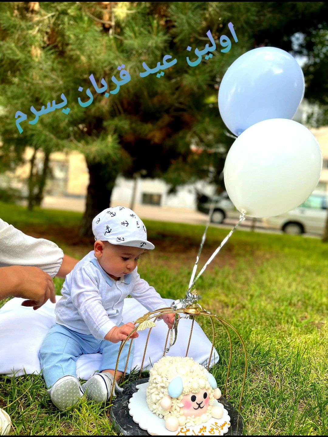 عید-قربان سیدرضا میرعبدالهی