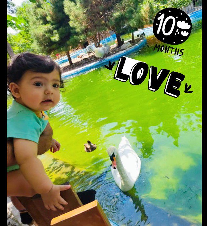 عکس نوزاد در سفر Vihan.karimi