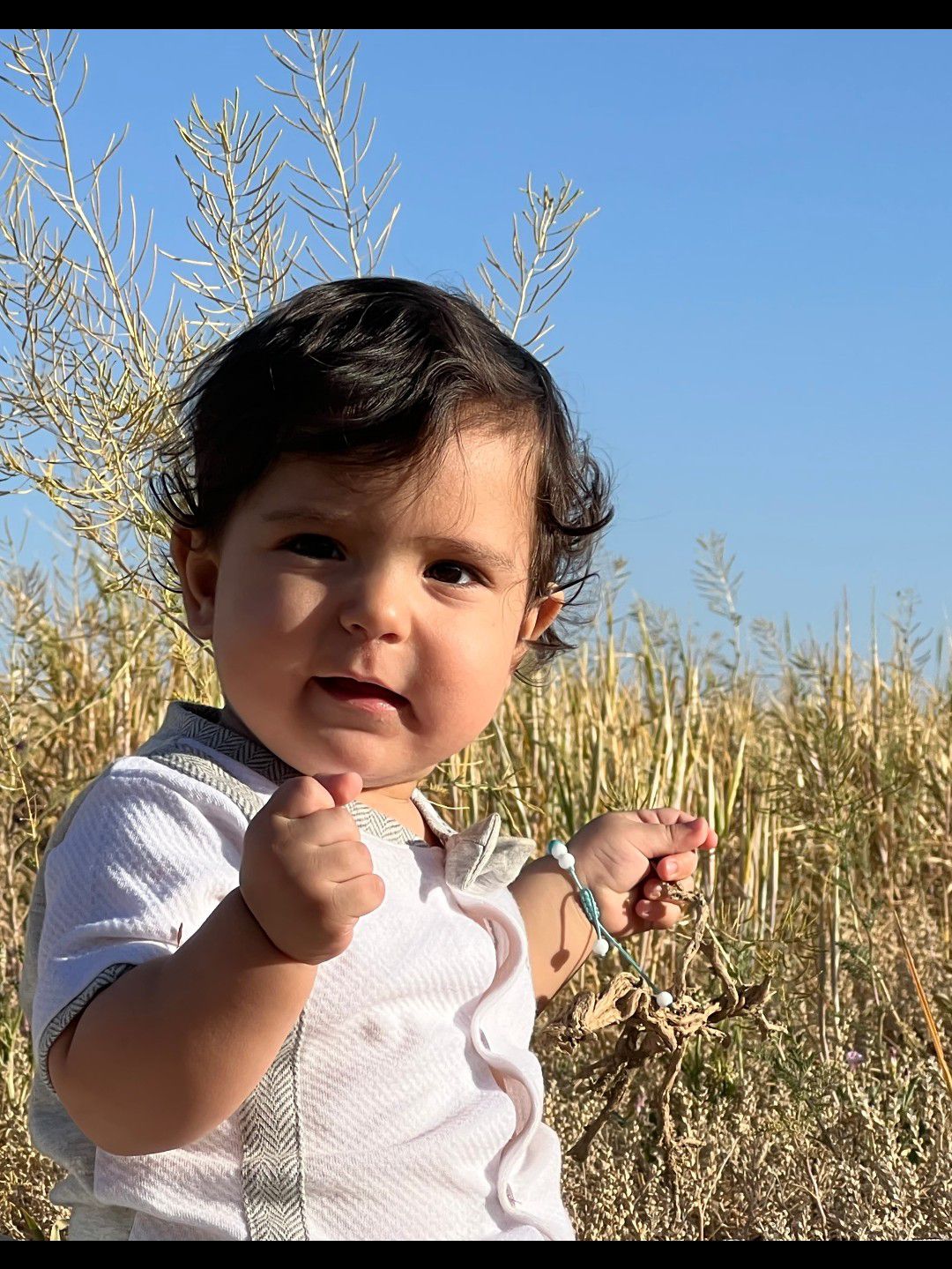 مسابقه تابستان Vihan.karimi