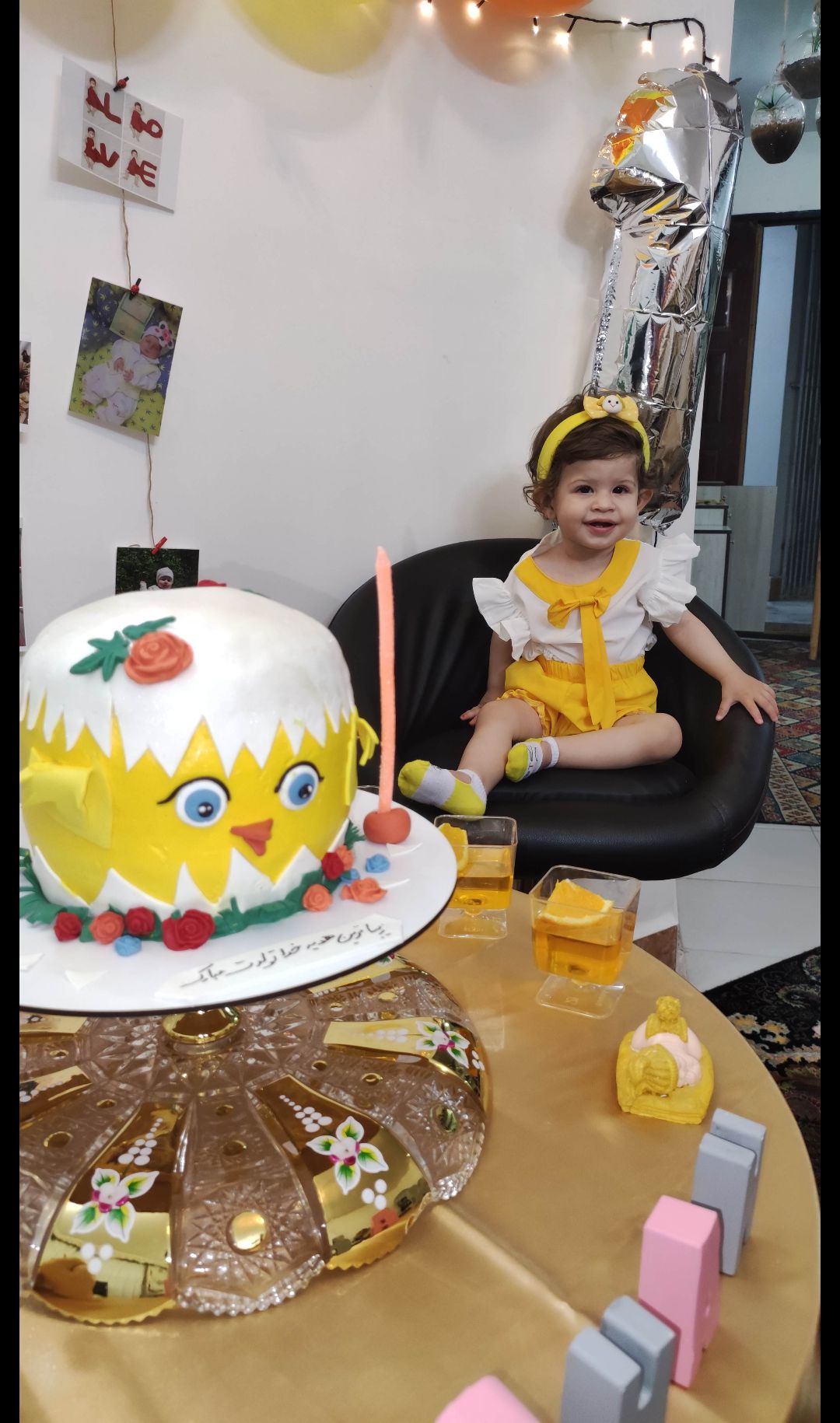 تم-جوجه روشان