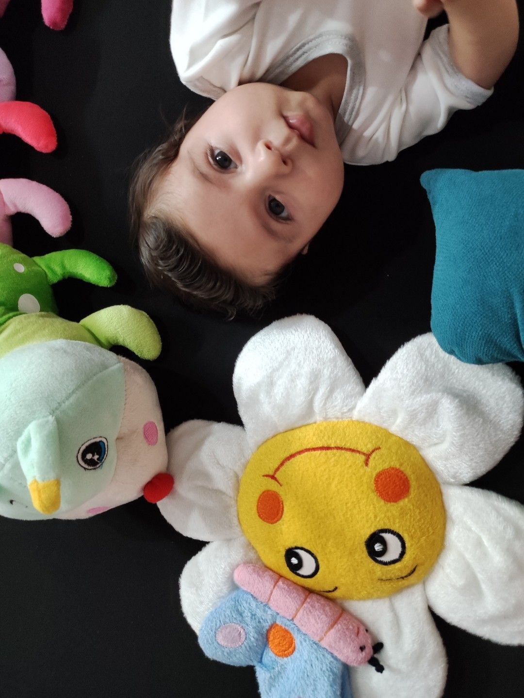 عشق پرهام جهانگرد