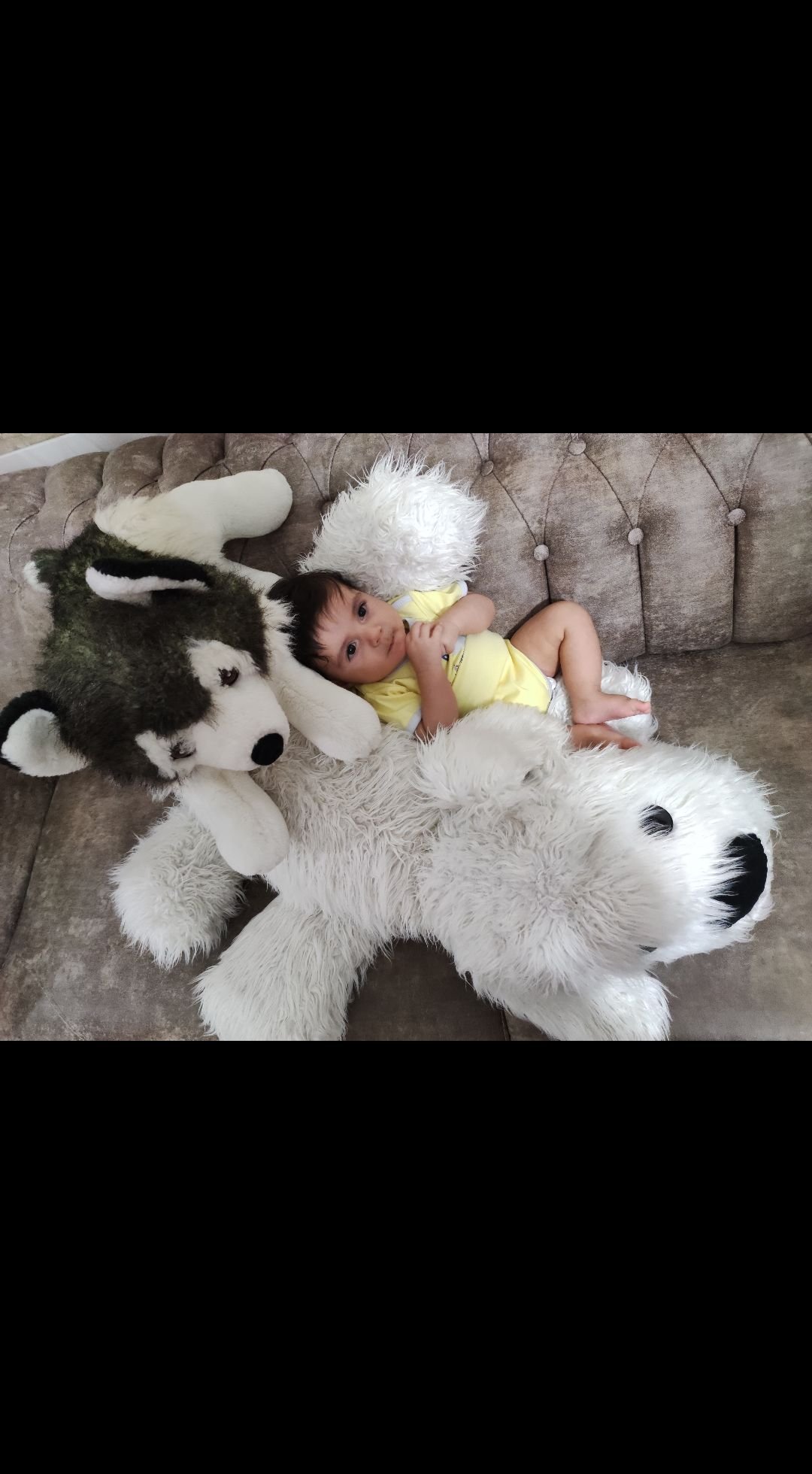 ایده پرهام جهانگرد