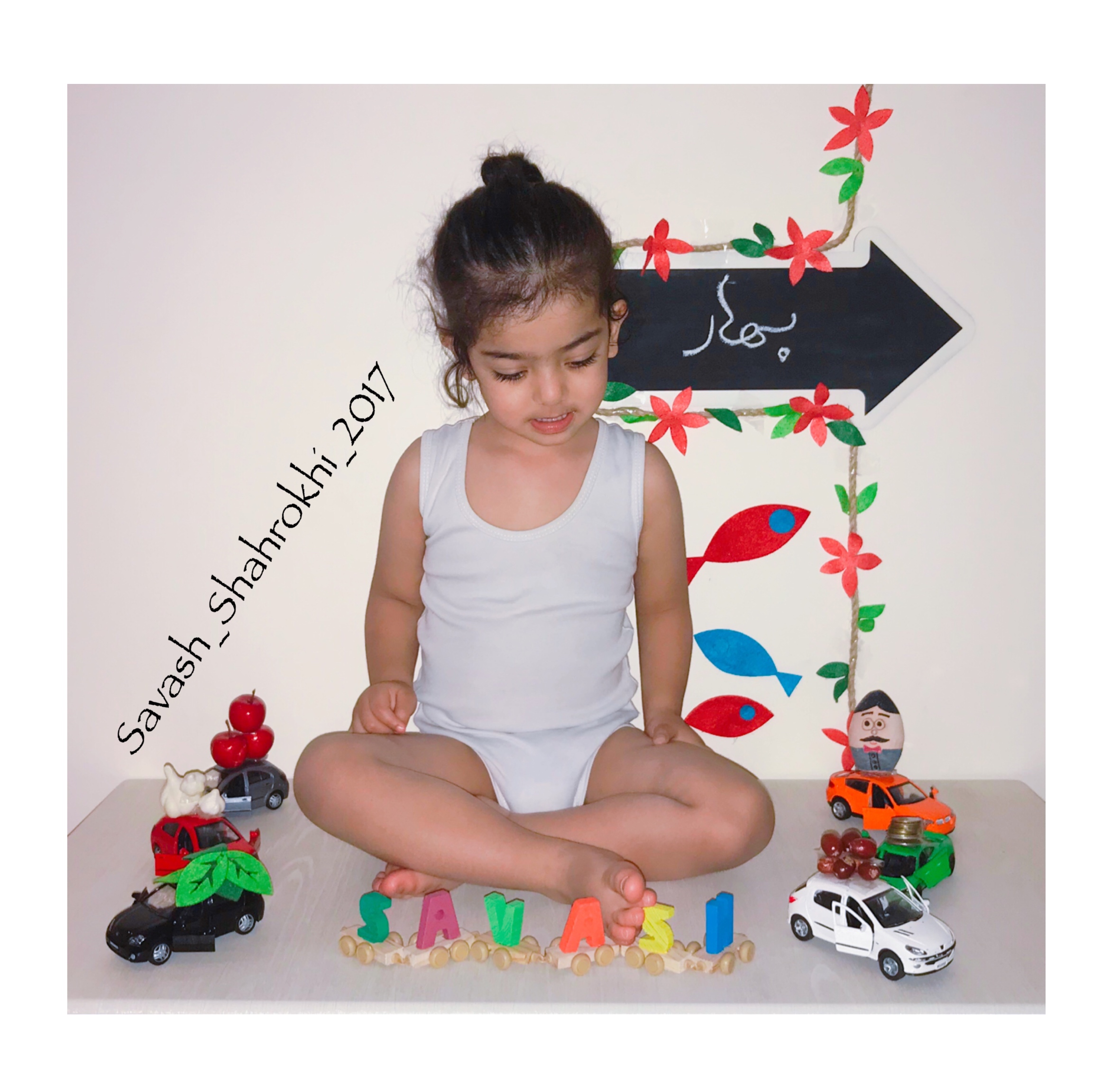 تم-های-عکاسی-12378