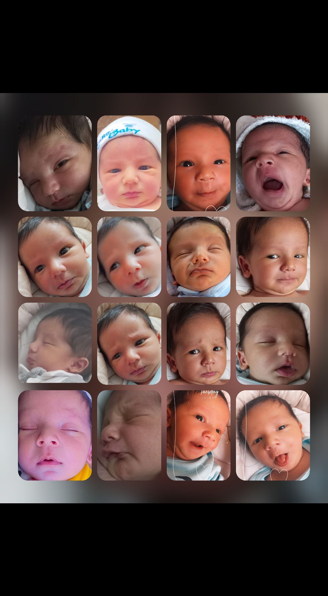 akay آکای خجسته