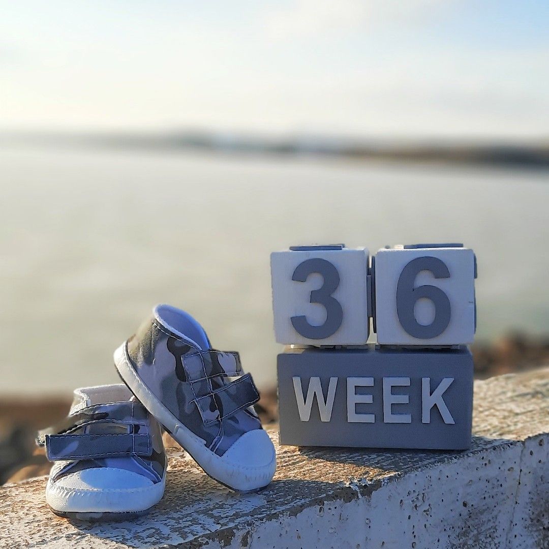 هشتک-عکاسی سهیل سلیمانزاده