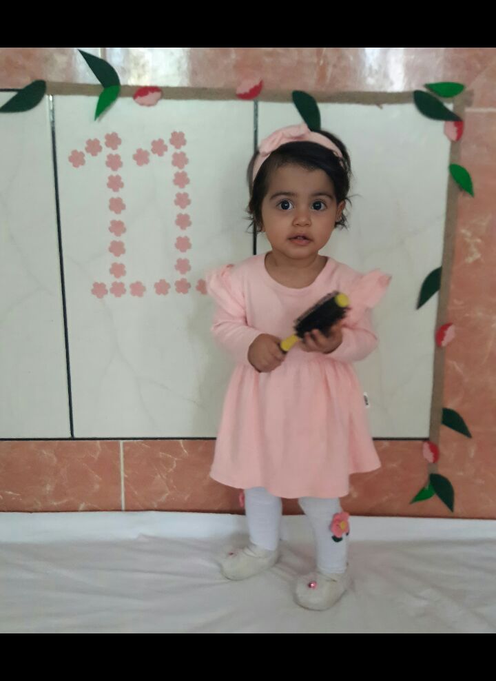 ریسه-و-شکوفه-بهاری-56840