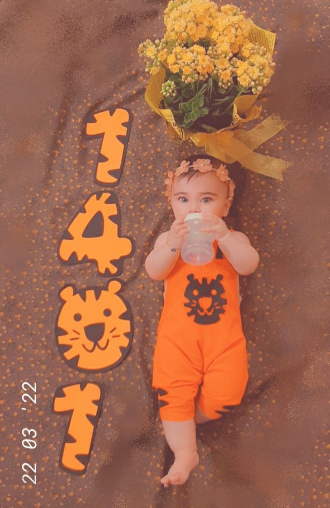 لباس بچگانه طرح ببر نیلا اصلانی