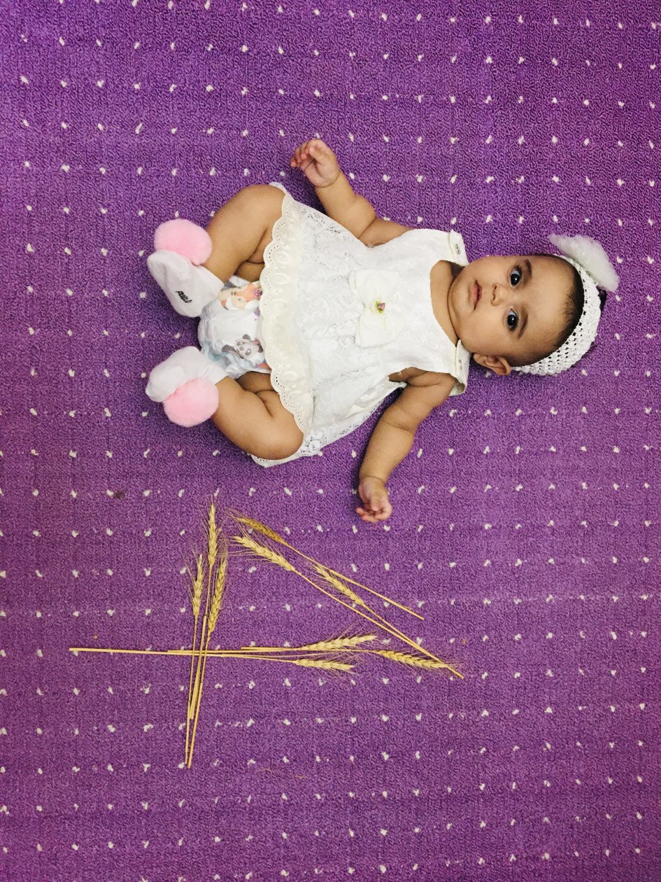 چهار ماهگی نوزاد گندم گراوند