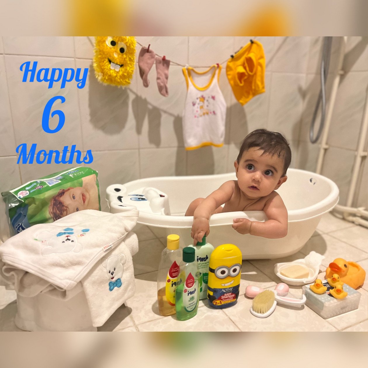 شش ماهگی نوزاد گندم گراوند