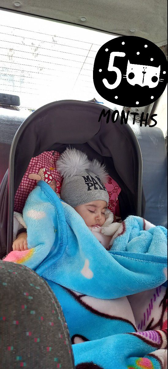 ۵ماهگی آوا مانیان