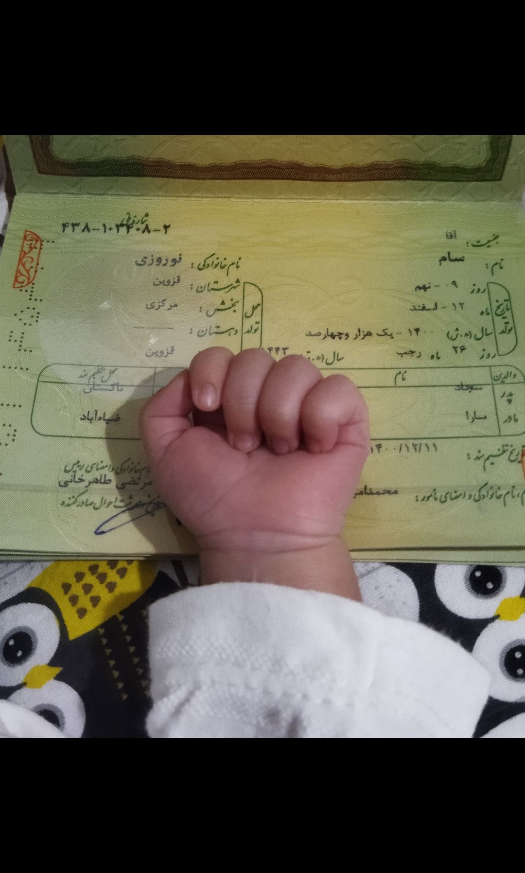 فروردین سام